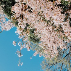 1CB1AA9B-4CBB-45DA-B0D2-EB2F0EB8E615/L0/001