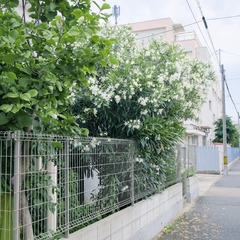 15070576-2A7D-4586-96D8-8815819520D8/L0/001