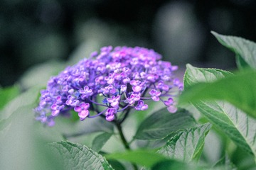 A9354754-4A5D-4DDE-A88E-F559AC37F721/L0/001