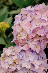 73D542F8-AB62-446A-9129-76574983A447/L0/001