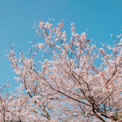 D897FF7B-CC84-48F7-9F8C-99C06876F33D/L0/001