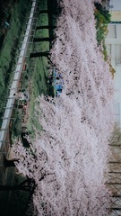 D0AD432F-0657-48E5-A746-20780835C921/L0/001