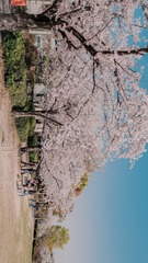 A02F84DD-12D4-4F82-B013-57D13179E192/L0/001