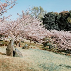 ED6EF809-0E22-40BD-8A32-CF6B4FEC042F/L0/001