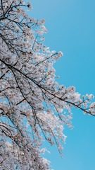 62DB8913-00DF-4F22-94B8-B4FE005EF407/L0/001