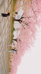 B103808D-C0B4-4F8F-859D-9EA98EB3ED70/L0/001