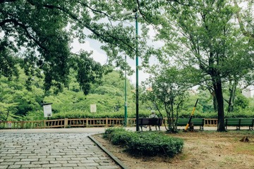 C84529B9-7674-41AB-AC98-5282D804F566/L0/001
