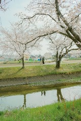 69321101-7F58-4C17-938D-CA3D8AEF0A31/L0/001