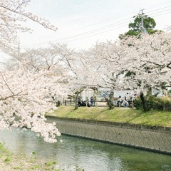 AFFBD37C-00C1-4869-9123-4A4AC739B28A/L0/001