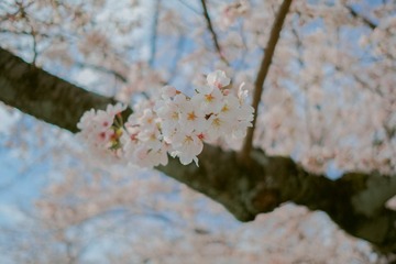 26741F31-2816-4C02-A002-6616D55A9442/L0/001