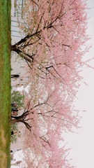B64D167B-EE4D-44DB-B71D-2A6E23CDA4F2/L0/001
