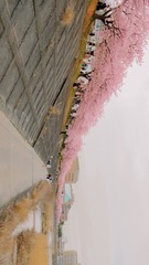CE39FE3B-3DEF-48A5-AE01-17181440B083/L0/001