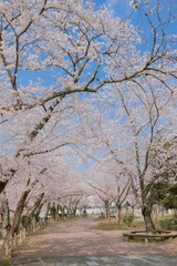39163406-627C-4153-AF28-523BFEB601E9/L0/001