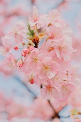 9C5931B4-12DA-43B3-AFC0-C8F6E91B33B4/L0/001