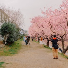 C7BB0D65-7F2E-4A6B-A305-3A756314D1FA/L0/001
