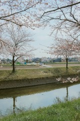 6BB5BE99-6109-4F53-BA32-351844F9F2A8/L0/001