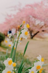 D890474E-E6DE-49C4-9D11-5EB848E68EA9/L0/001