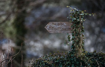_MG_0861.jpg