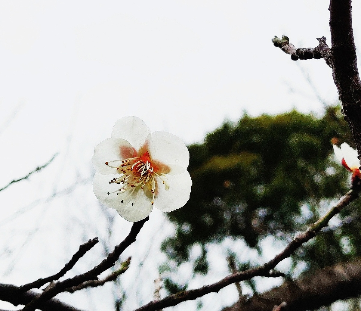 朱广秋186 - 图虫网 - 优质摄影师交流社区