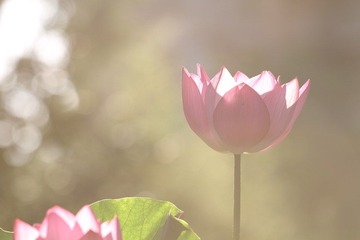 043