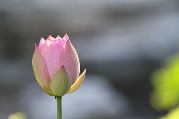 045