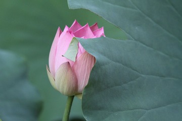 091