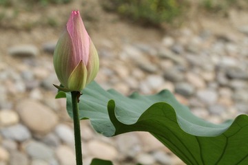 186
