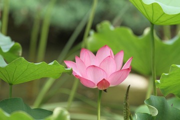 200