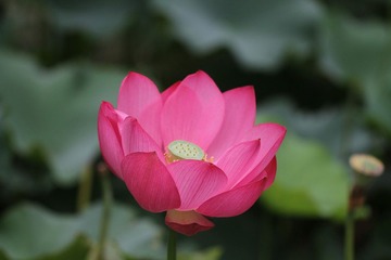 018