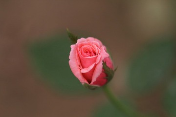 034
