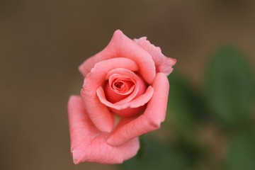 041