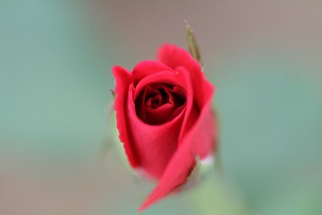 047