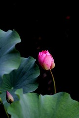 069