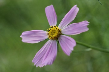 047