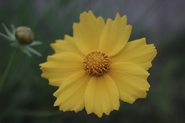 231F3849-9627-479A-971A-7276BAF88DDD/L0/001