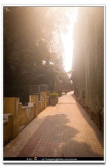 CRW_5477-1副本.jpg