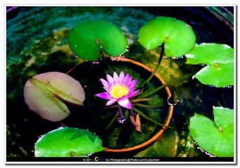 IMG_4123-1副本.jpg