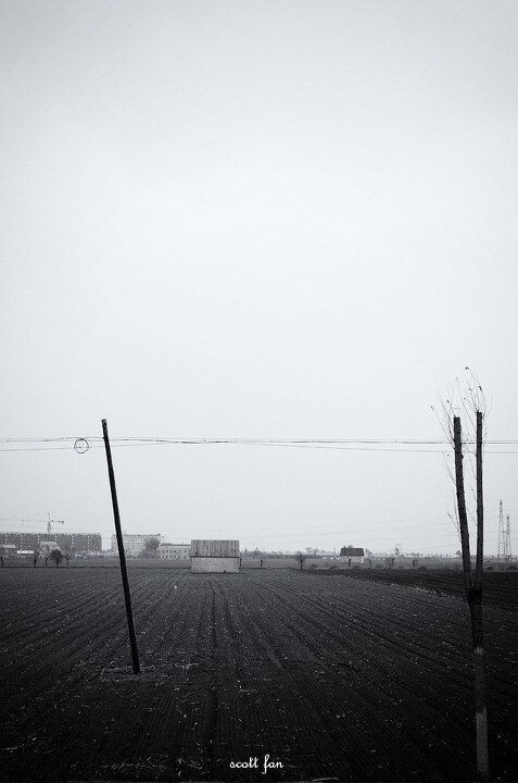 无<br />
