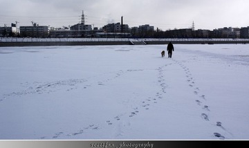 IMGP9823.JPG