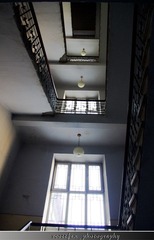 IMGP2739.jpg