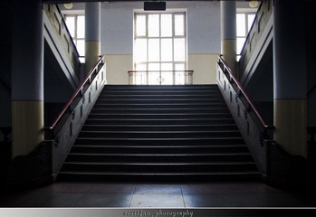 IMGP2750.jpg