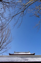 IMGP9912.jpg