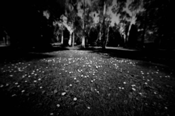 IMG_0862.jpg