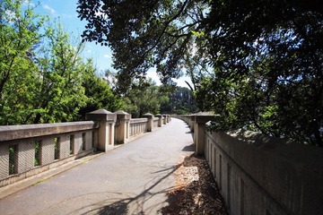 IMG_1073.jpg