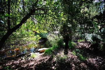 IMG_0990.jpg