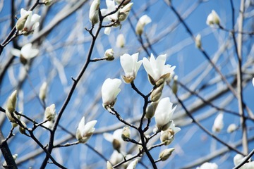 2F314696-4F5D-4D63-9AD5-34025259349A/L0/001