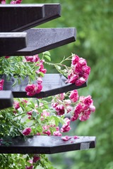 D44903A9-97BD-4BA6-A745-F7C6363E0B82/L0/001