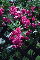 602E4F42-5E0D-48CA-AF43-9E6DD11CC8F0/L0/001
