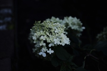27B44B2F-B7FB-477E-A672-36F1C3818F4B/L0/001