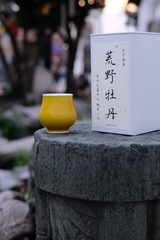 1000016133